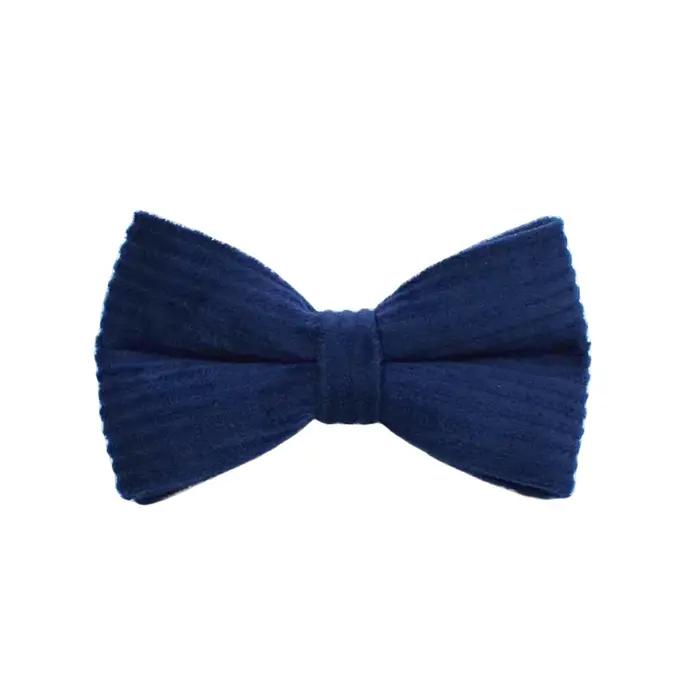 Ensemble collier et laisse pour chien en velours côtelé bleu violacé