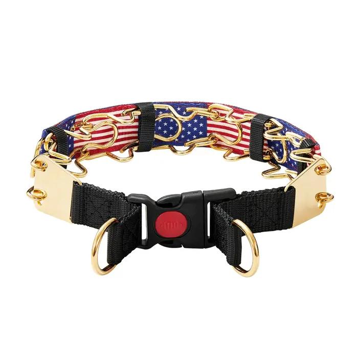 Collier de dressage pour chien efficace avec fonction anti-traction confortable