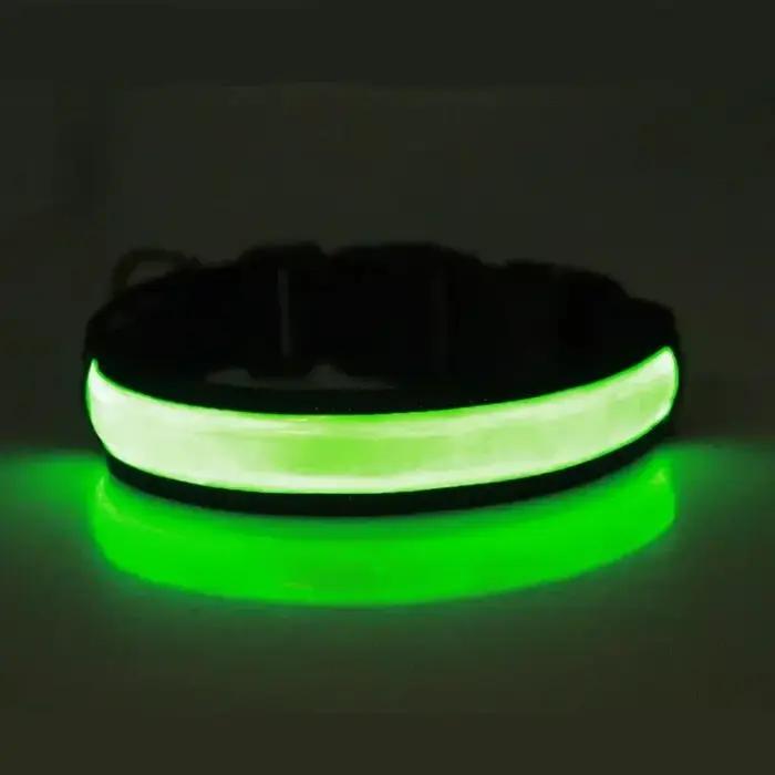 Collier lumineux LED pour chien
