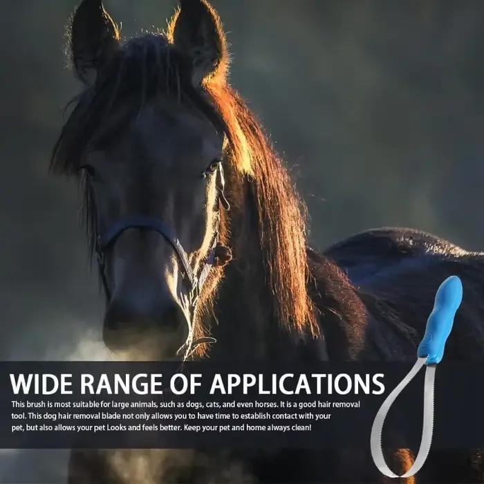 Grattoir à sueur en métal pour chien et cheval, lame de perte, brosse de toilettage, outil de soins