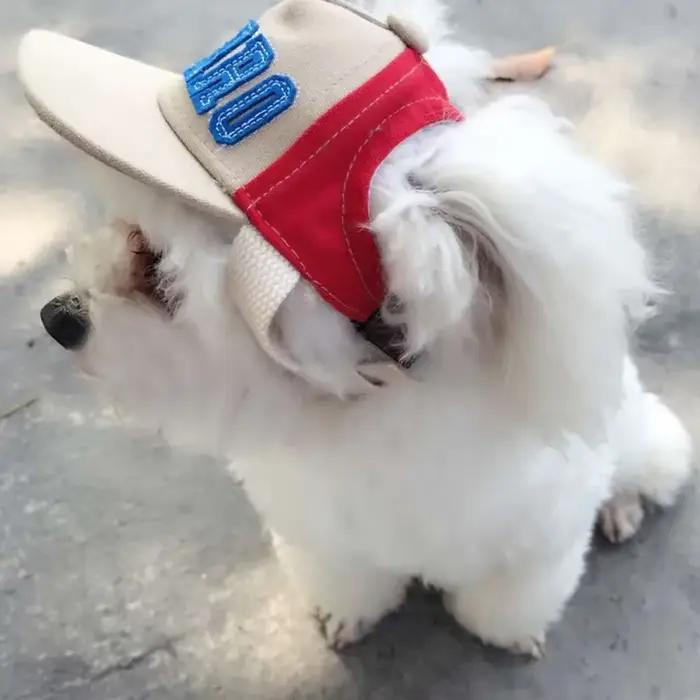 Casquettes pour animaux de compagnie petit chiot Sport lettre casquette pour chiens Baseball visière