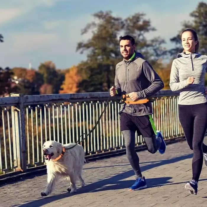 Laisse pour chien mains libres avec sac banane