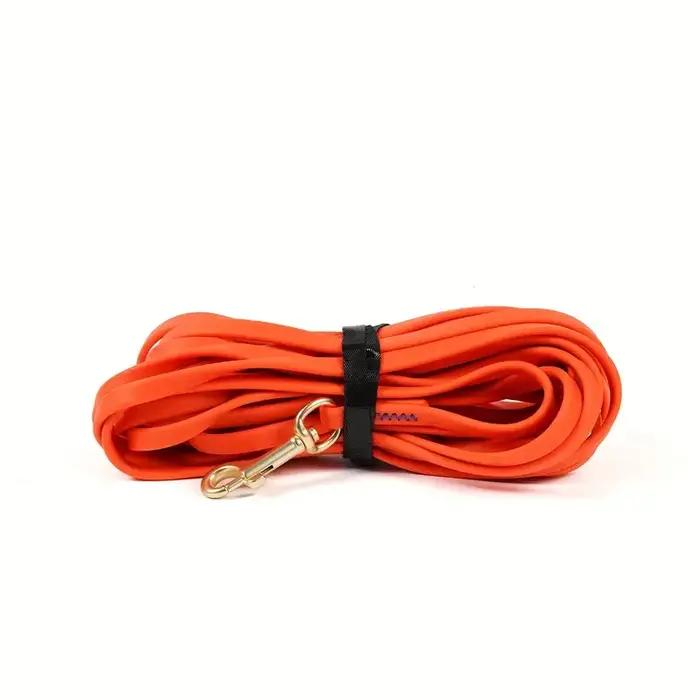 Laisse pour chien 5 pieds