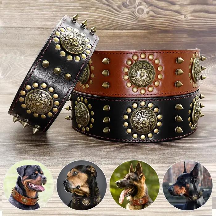 Collier de Luxe en Cuir group pour Chien, Accessoire Durable avec Pointes Cool de 2 Pouces de Large,