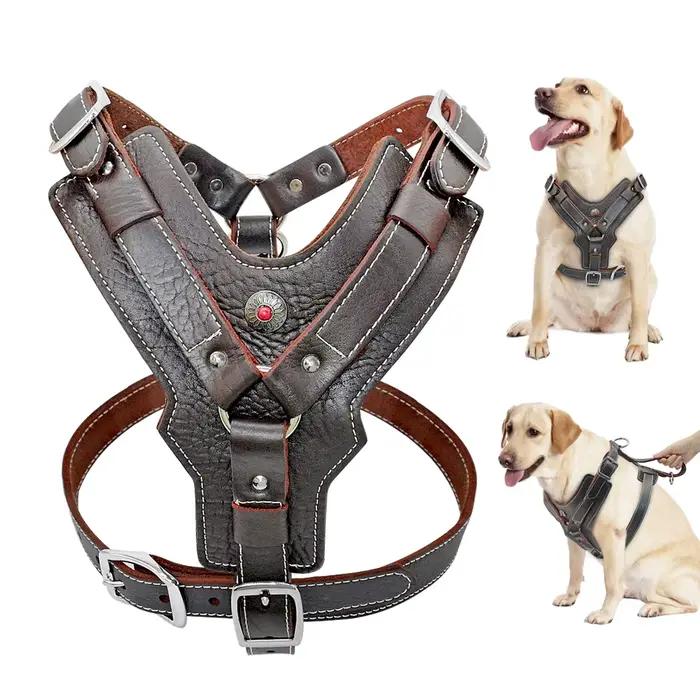 SFP Grand Chien Durable en Cuir group
