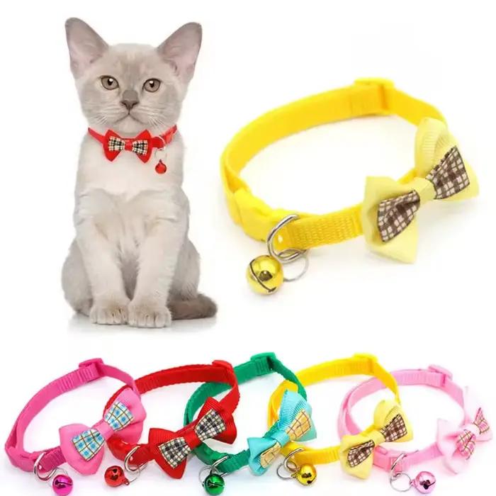 Collier pour chien mignon