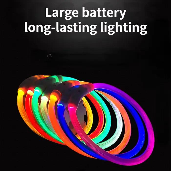 Collier LED Shoous pour animaux de compagnie, chargement USB, anti-perte, nounours, chien, chat, acc
