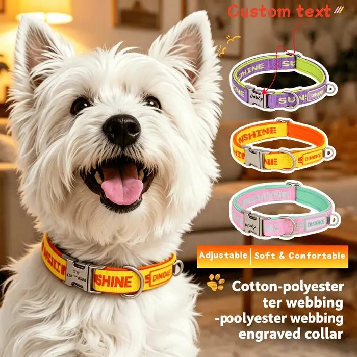 Collier pour animaux de compagnie gravé sur mesure
