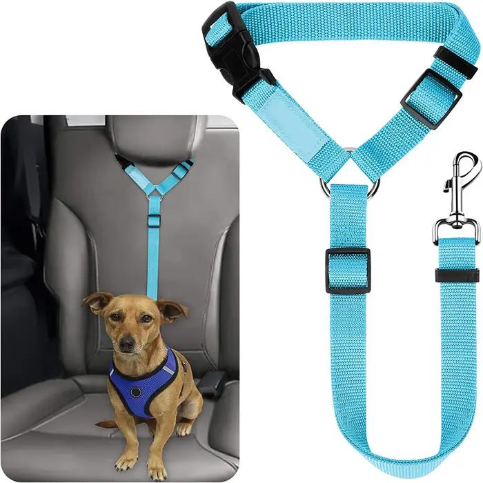 Ceinture de sécurité pour chien et chat