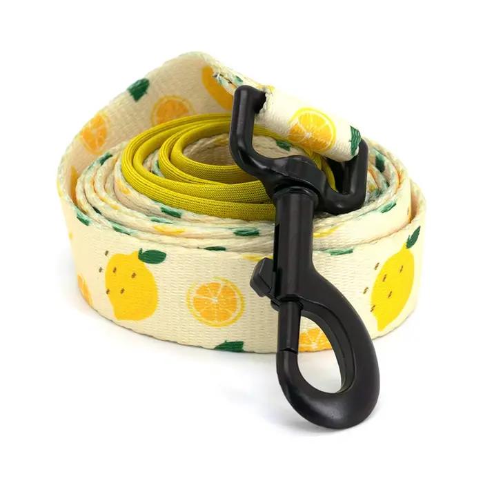 Collarlogo réglable collier pour chien de compagnie Durable doux mignon créatif citron conception laisse néoprène harnais merde caca sac distributeur