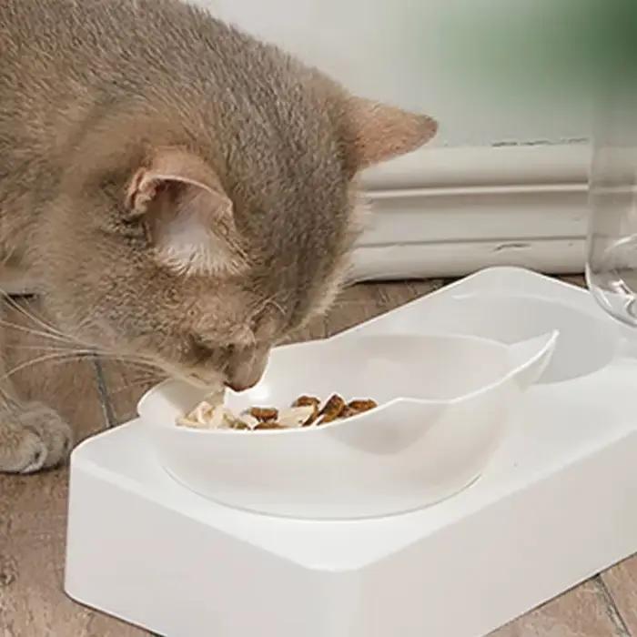 Gamelle à double usage pour animaux de compagnie, inclinaison pour protéger les vertèbres cervicales