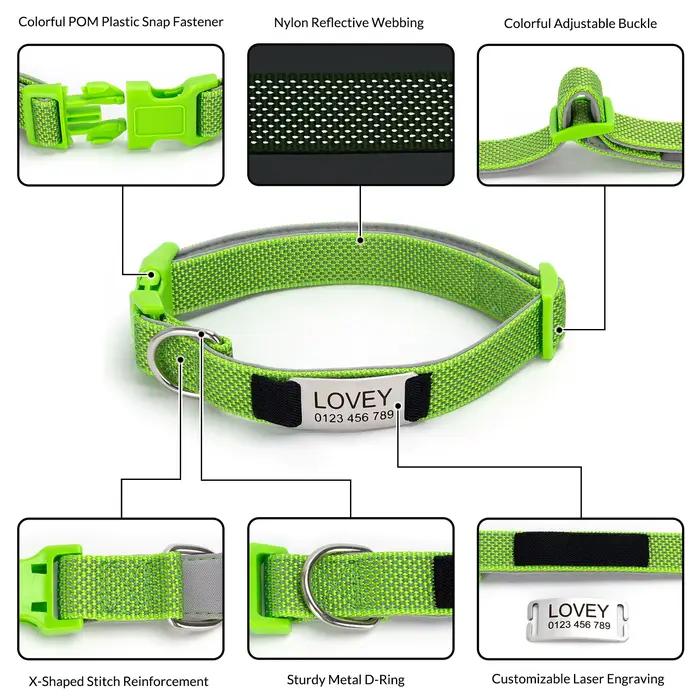Collier pour chien personnalisé avec étiquette gravée amovible
