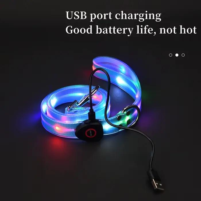 Collier lumineux pour animaux de compagnie, laisse LED clignotante, chargement USB, ceinture de trac