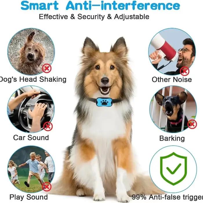 Dispositif Anti-aboiement pour chien de compagnie
