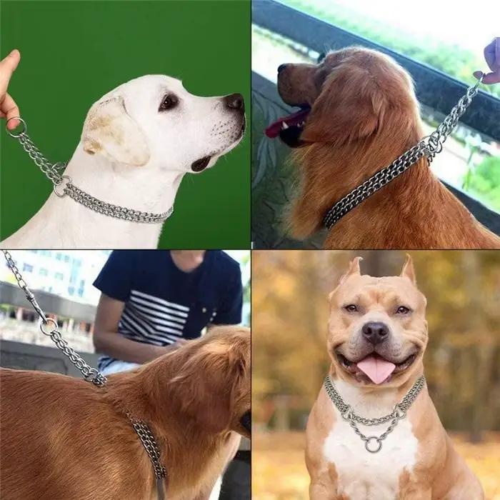 Collier de starter pour chien à chaîne P antidérapante