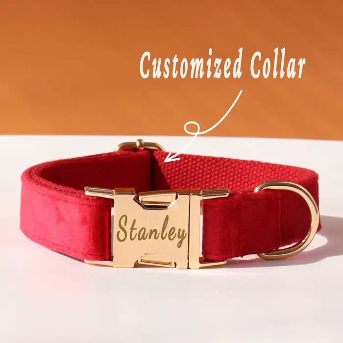 Ensemble d'arc de collier de chien personnalisé