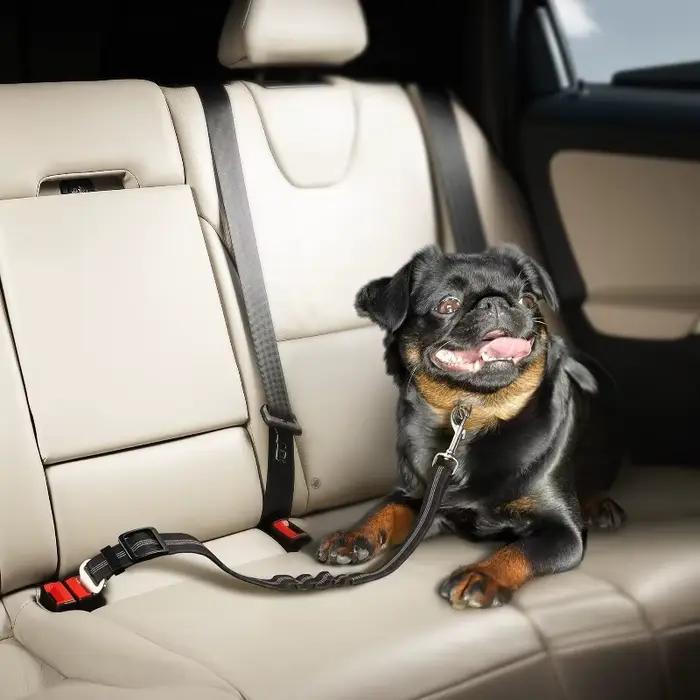Ensemble de harnais de voiture rétractable pour chien avec ceinture de sécurité réglable