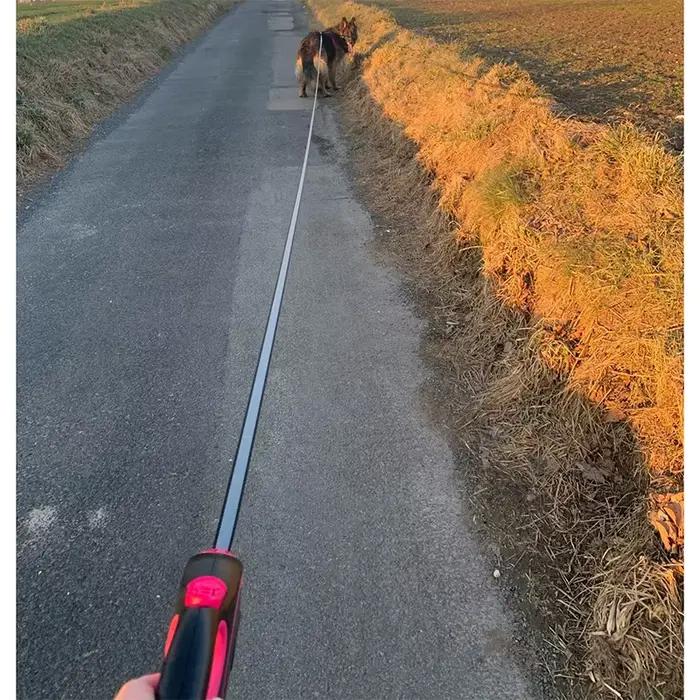 Laisse Rétractable 5m 8m 50kg pour Chien
