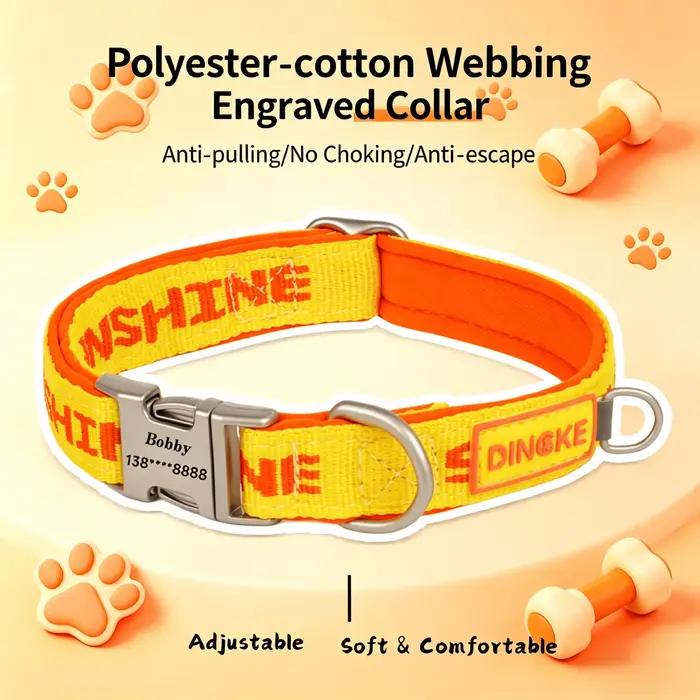 Collier pour animaux de compagnie gravé sur mesure
