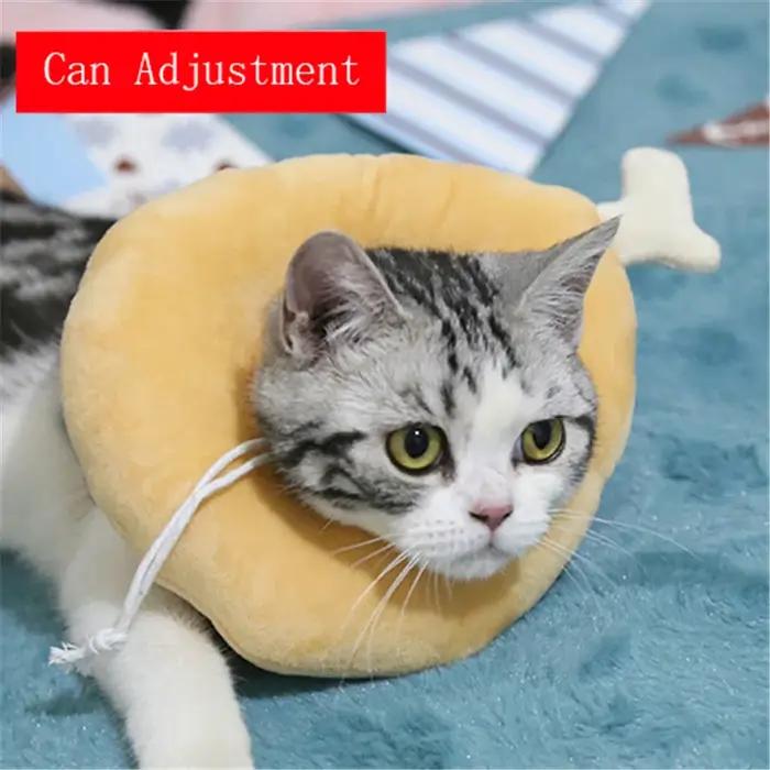 Collier élisabéthain en coton en forme d'avocat pour Toast doux