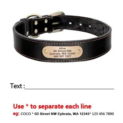 Ensemble collier et laisse pour chien en cuir véritable, personnalisé, colliers et laisses pour anim