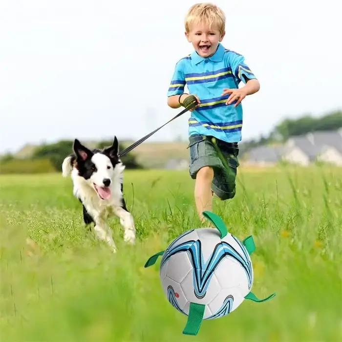 Jouet de Football interactif pour chien