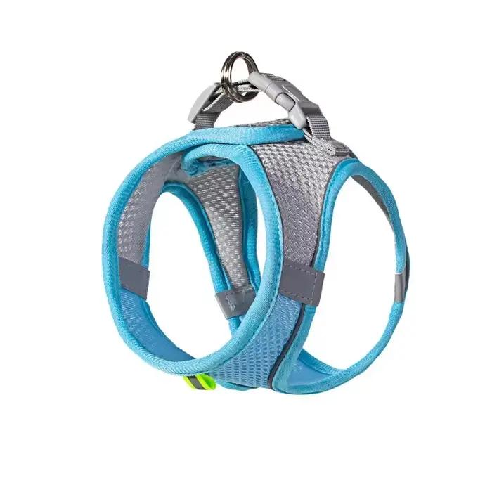 Ensemble de laisse harnais pour chien pour petits chiens
