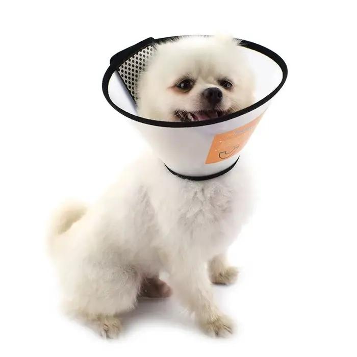 Collier élisabéthain pour animaux de compagnie