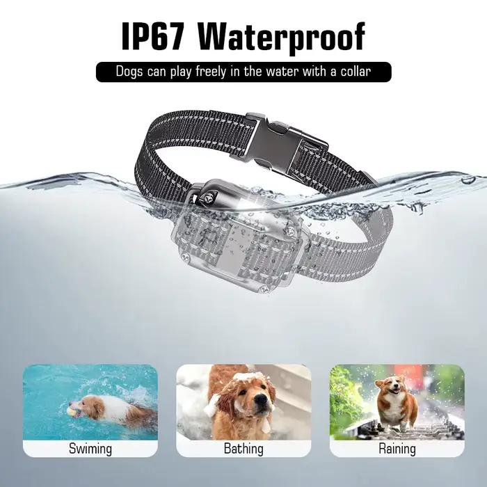 Collier d'entraînement pour chien avec télécommande