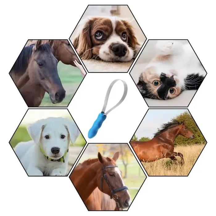 Grattoir à sueur en métal pour chien et cheval, lame de perte, brosse de toilettage, outil de soins