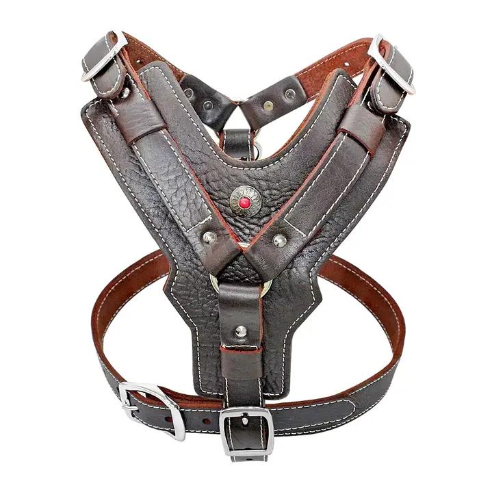 SFP Grand Chien Durable en Cuir group