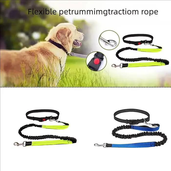 Laisse réfléchissante corde de Traction chien de compagnie ceinture de course mains élastiques librement Jogging tirer