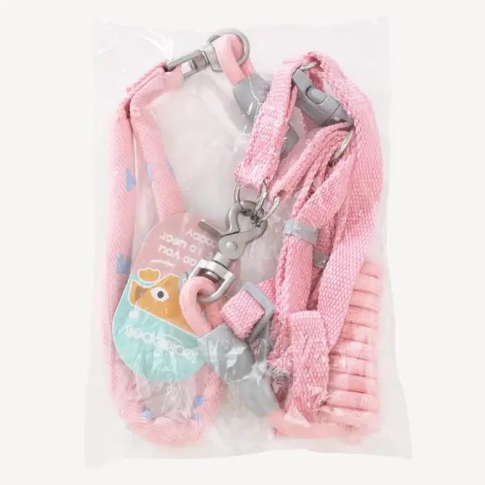 Ensemble collier et laisse pour chien 2 en 1