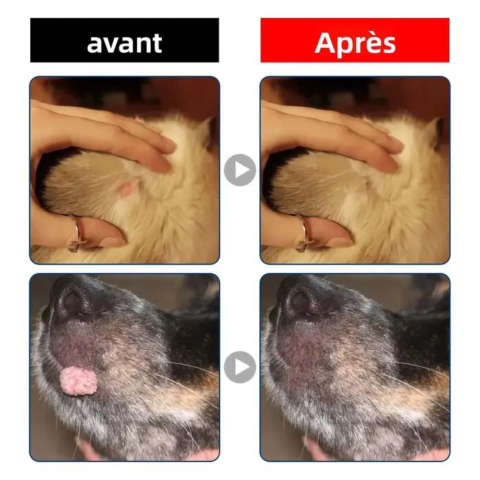 Liquide de soin de la peau pour animaux de compagnie