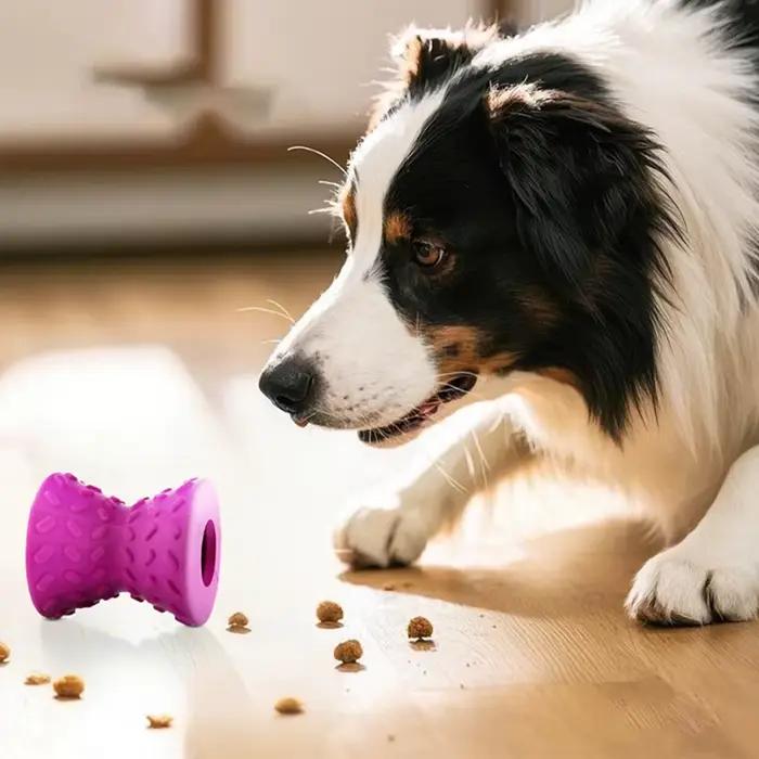 Jouets à mâcher en caoutchouc durables pour chiens