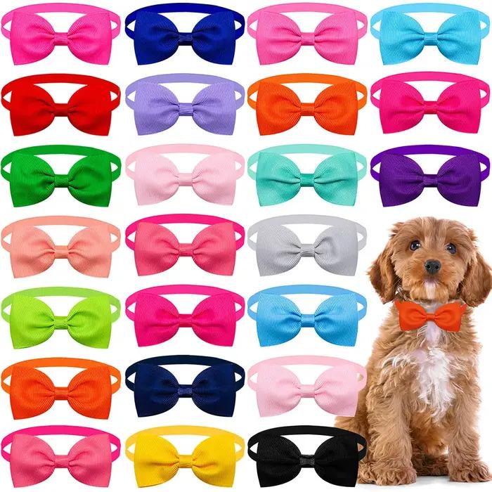 Accessoires pour chiens