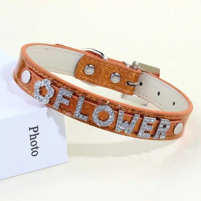 Collier en cuir personnalisé pour petits et moyens chiens
