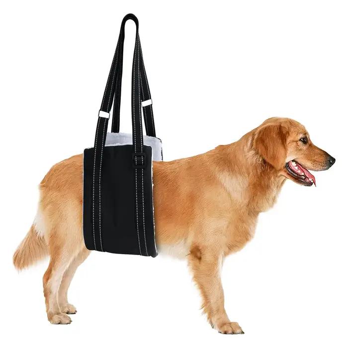 Artificiel évateur réglable SFP pour chien