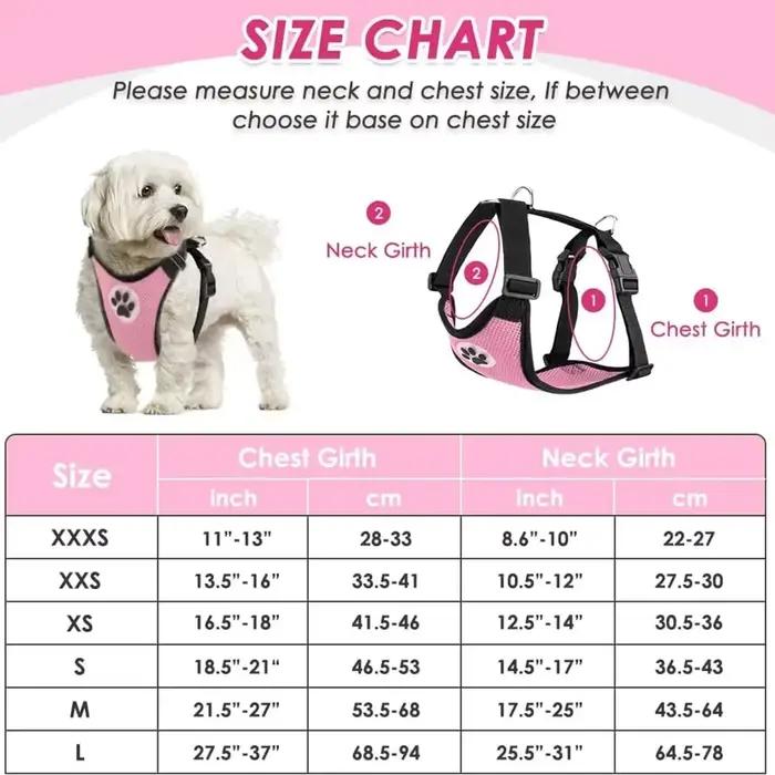 Ensemble de ceinture de sécurité pour harnais de voiture pour chien