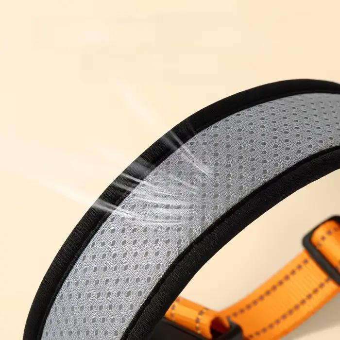 Collier pour animaux de compagnie, collier de cou, ensemble de cou, laisse de marche pour chien, chaîne pour chien, collier, collier pour chien de compagnie