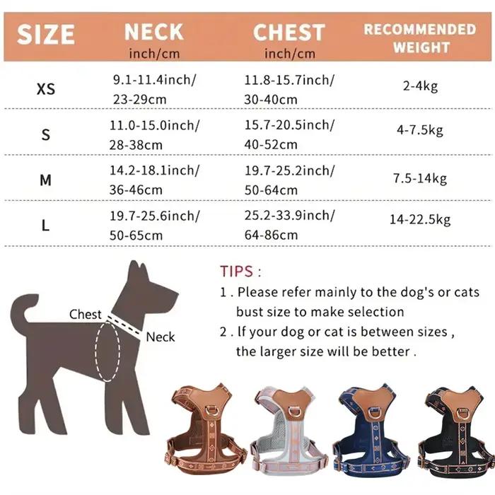 1 - Harnais classique pour chien de compagnie