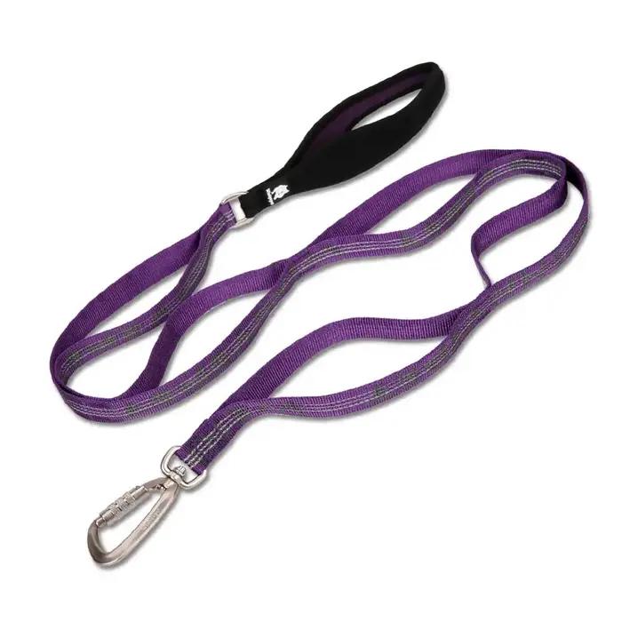 TRUELOVE laisse pour animaux de compagnie mousqueton corde de Traction 3M sangle en Nylon réfléchissante résistante