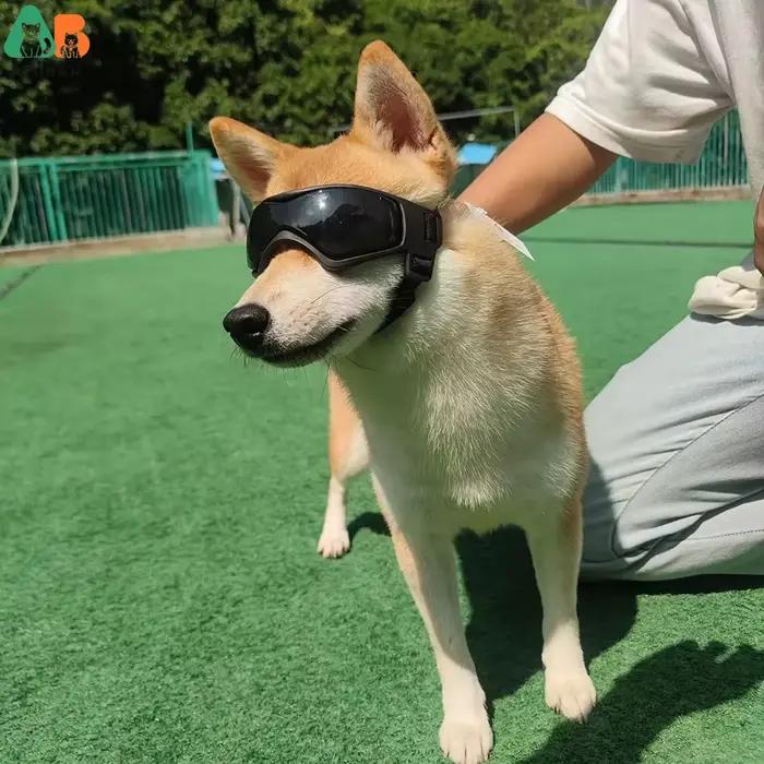 ATUBAN Lunettes pour chien de petite race, lunettes de soleil pour chien de petite race Lunettes de