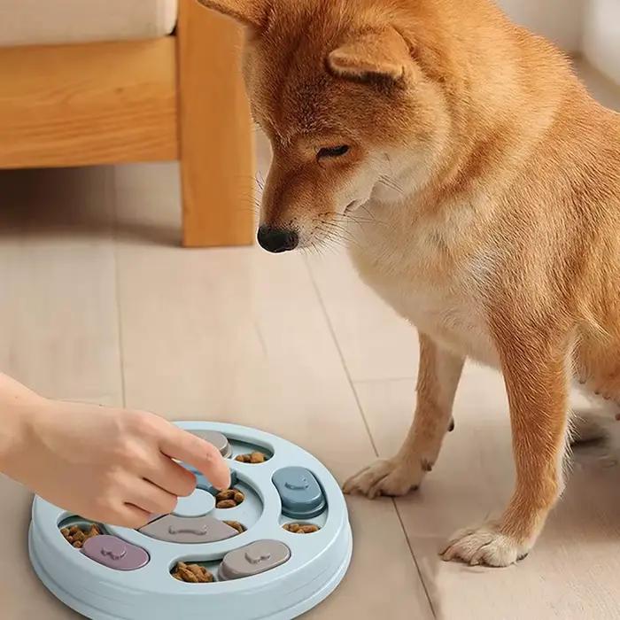 Bol de cachette de nourriture pour chien