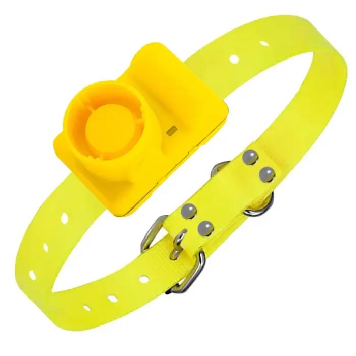 Collier de formation pour chien Rechargeable colliers de bip