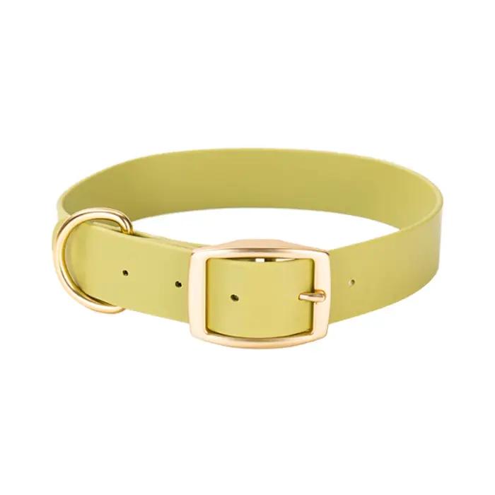 Ensemble collier et laisse pour animaux de compagnie en PVC imperméable