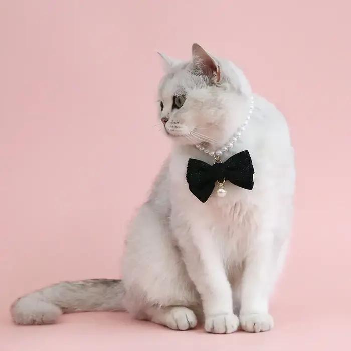 Collier de perles pour chien, bijoux pour petit chien, chiot, chat, collier de mariage, Chihuahua Yo