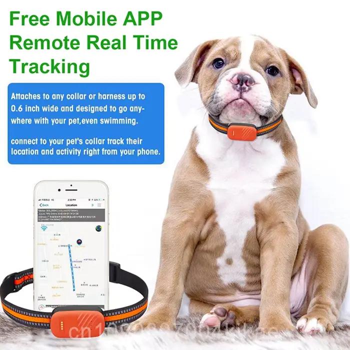 EN STOCK - Collier GPS 4G étanche pour animaux de compagnie - Anti-vol - Anti-perte pour chien et chat - Avec