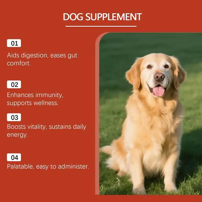 Poudre Probiotique Canine Soutien Santé Intestinale Amélioration du Bien-être Digestif Renforce la Défense Corporelle Améliore la Vitalité de l'Animal de Compagnie Soin Quotidien 100g