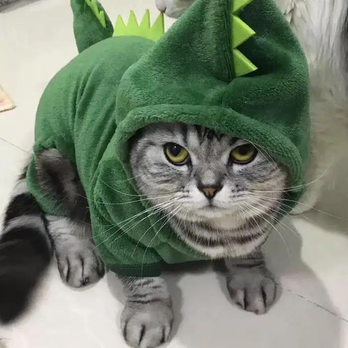 Vêtements pour animaux de compagnie